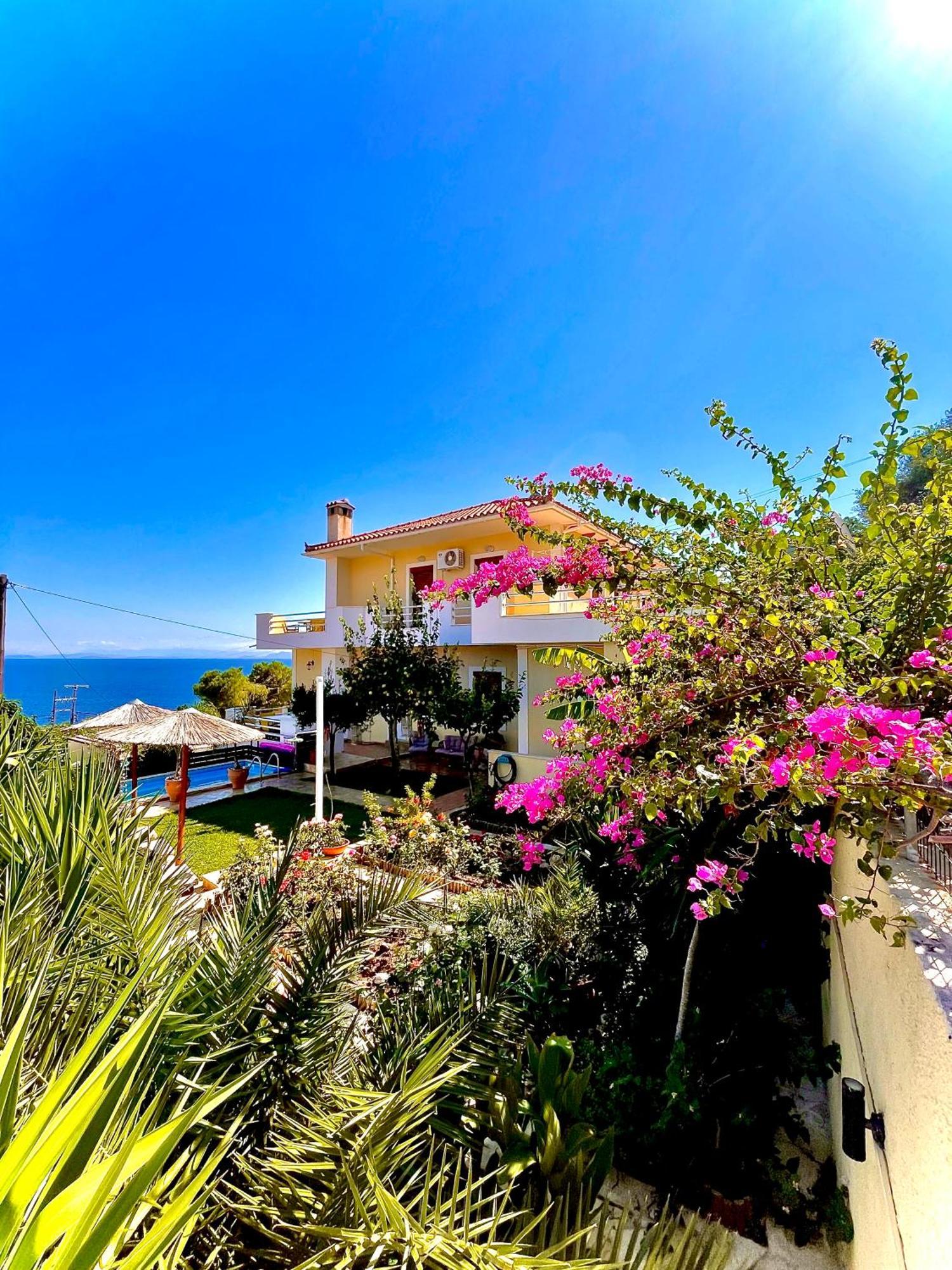 Odysseas Art Villa Poros  Ngoại thất bức ảnh